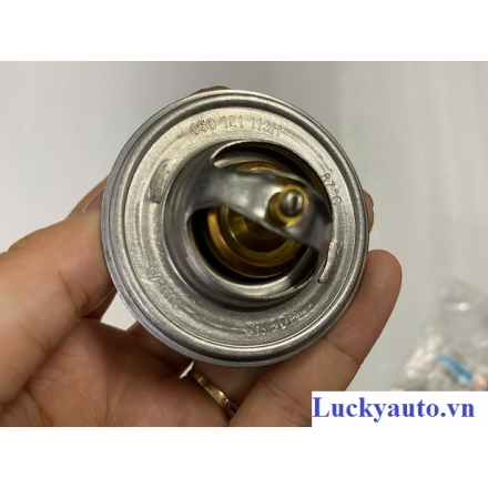 Van hằng nhiệt xe Volkswagen New Beetle_ 050121113C 